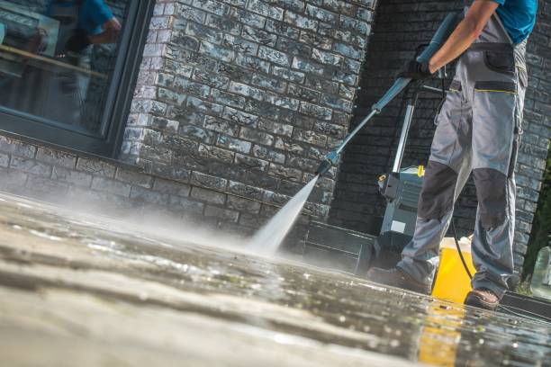 Best Gutter Cleaning  in Jackson, MN